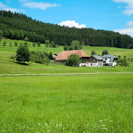 Kinast - Hft202 By Interhome Apartment Hofstetten (Baden-Wurttemberg)