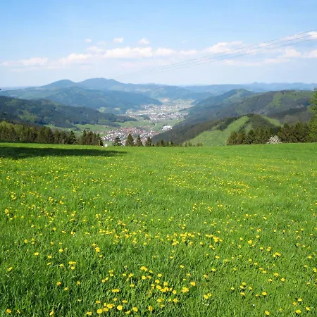 Kinast - Hft202 By Interhome Lejlighed Hofstetten (Baden-Wurttemberg)