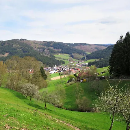 Kinast - Hft202 By Interhome Hofstetten (Baden-Wurttemberg)