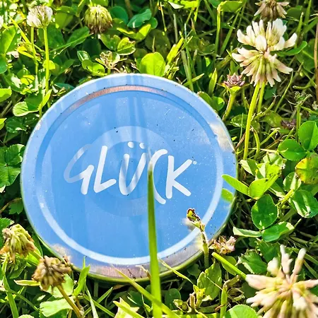 Lejlighed Kinast - Hft202 By Interhome