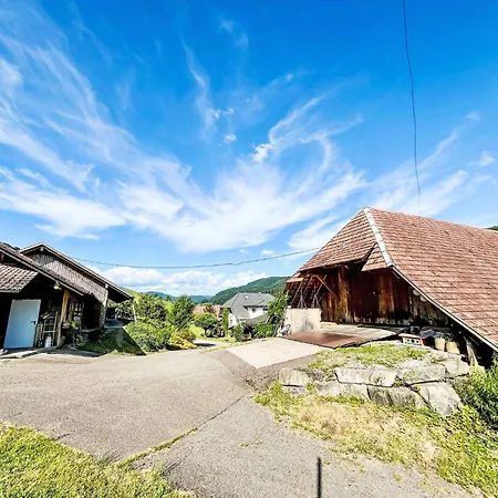 Kinast - Hft202 By Interhome Lejlighed *