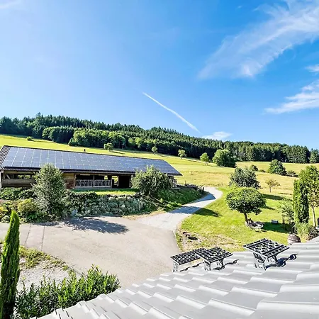 Kinast - Hft202 By Interhome Apartment Hofstetten (Baden-Wurttemberg)