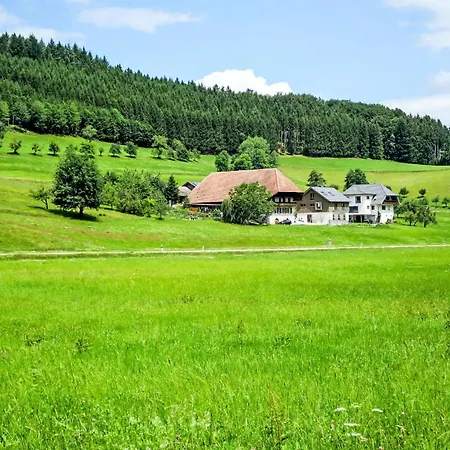 Kinast - Hft202 By Interhome Appartement Hofstetten (Baden-Wurttemberg)