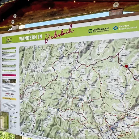 Lejlighed Kinast - Hft202 By Interhome *