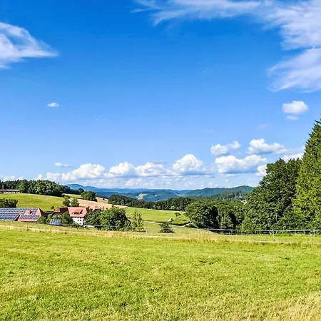 Kinast - Hft202 By Interhome Hofstetten (Baden-Wurttemberg)