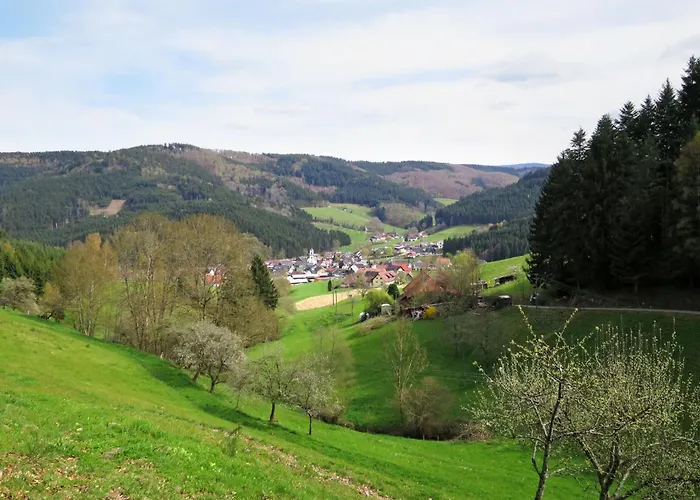 Kinast - Hft202 By Interhome Hofstetten (Baden-Wurttemberg)