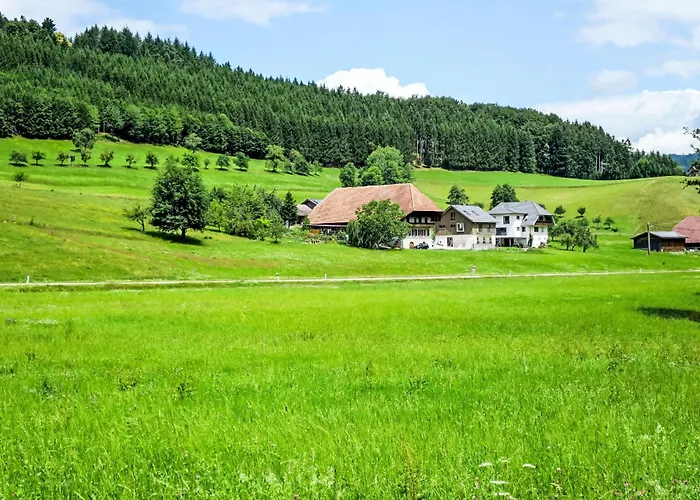 Kinast - Hft202 By Interhome 公寓 Hofstetten (Baden-Wurttemberg)