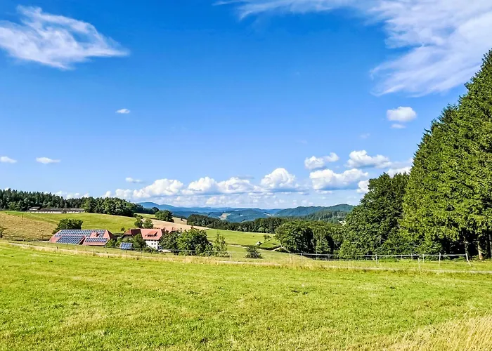 Kinast - Hft202 By Interhome Hofstetten (Baden-Wurttemberg)